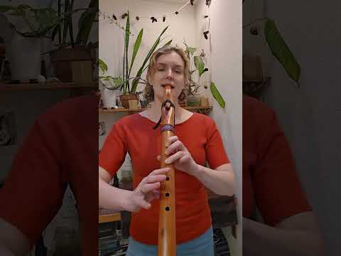 Premiere Native American Style Flutes in the Key of D by Premiere Native American Style Flutes in the Key of D by